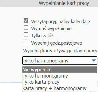 plan pracy na WWW.png